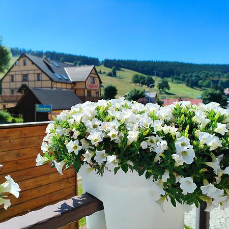 Ski&Spa Zieleniec Duszniki Zdrój Esterno foto